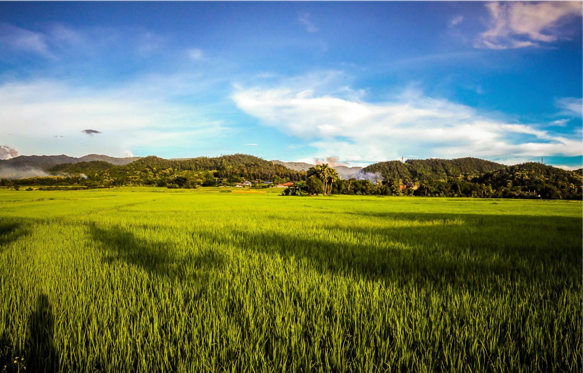Nature & Eco-Charm – Ban Thi Countryside Escape 3