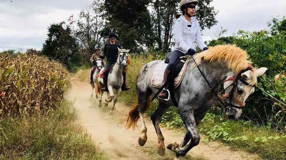Nature & Eco-Charm – Ban Thi Countryside Escape 4